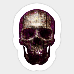 Dark Skull On The Fence Sticker